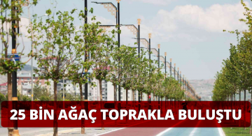 Sivas’ta Tam 25 Bin Fidan Toprakla Buluşuyor!