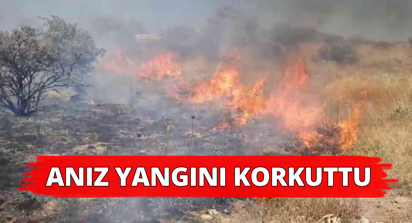 10 Dönüm Arazide Anız Yangını Çıktı