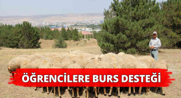 Akademik Çalışmalar İçin Yetiştirilen Koyunlar Öğrencilere Burs Sağlayacak