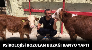 Türkiye’nin Gündemindeki Boğa Bu Sefer de Banyo Yaptı!