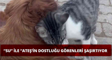 Sivas’ta Su ve Ateş’in Uyumu Şaşkınlıkla Karşılanıyor!