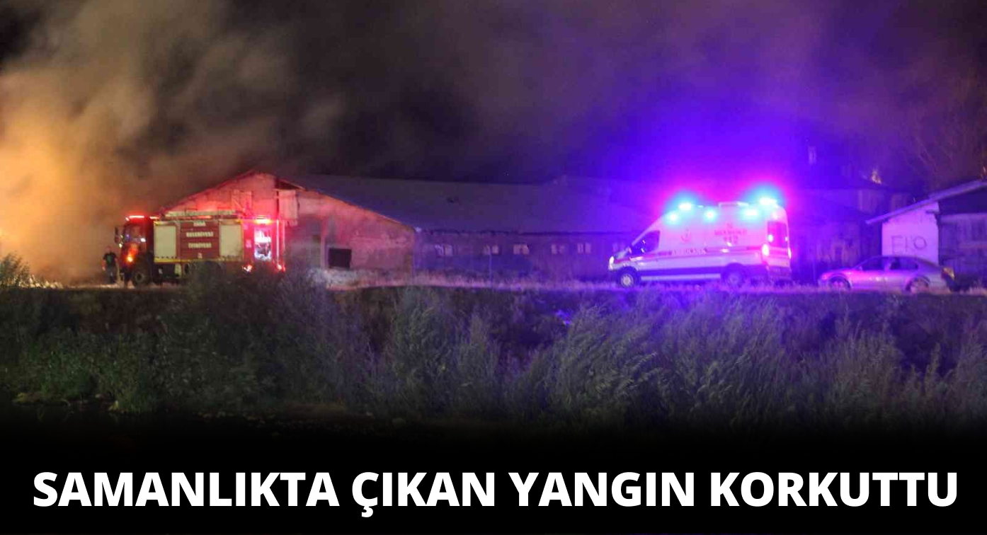 Samanlıktaki Yangın İtfaiye Ekiplerince Söndürüldü