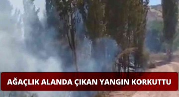 Ağaçlık Alanda Çıkan Yangın Kısa Sürede Söndürüldü