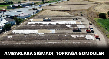 Buğdayda Rekor Verim Alındı Ambarlar Taştı