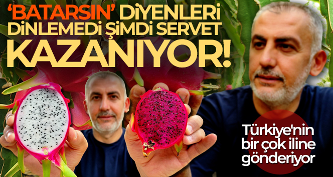 ‘Batarsın’ diyenleri dinlemedi şimdi servet kazanıyor