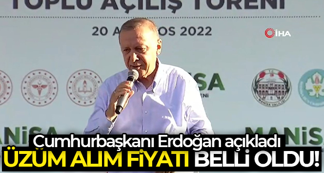 Cumhurbaşkanı Erdoğan: ‘Biz bu yolda dünya barışı için varız’