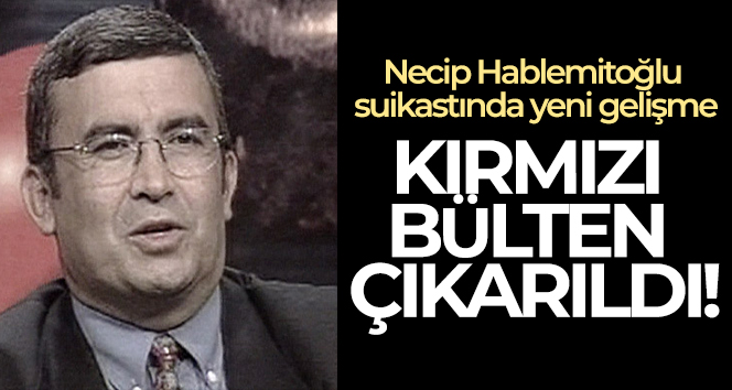 Hablemitoğlu suikastı zanlısı Göktaş hakkında Interpol tarafından kırmızı bülten