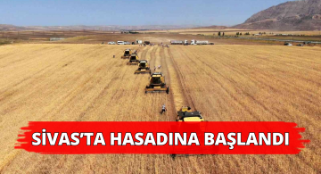 Bu Hasat Türkiye’nin Tohum İhtiyacının Yarısını Karşılayacak