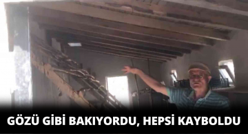 Tavukları Çalınan Üretici Yetkililerden Yardım İstedi