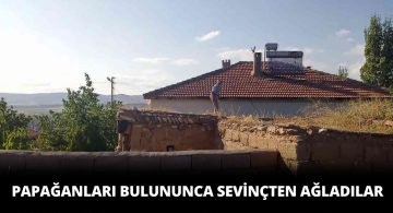Papağanları Bulunan Yaşlı Çiften Sevinç Göz Yaşları!