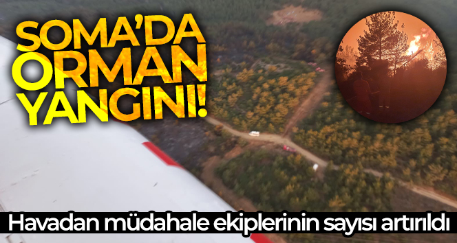 Soma’daki orman yangınının etrafı çevrildi