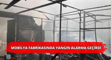 Organize Sanayide Korkutan Yangın!