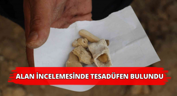 Alan İncelemesinde Milyonlarca Yıllık Kemik Bulundu
