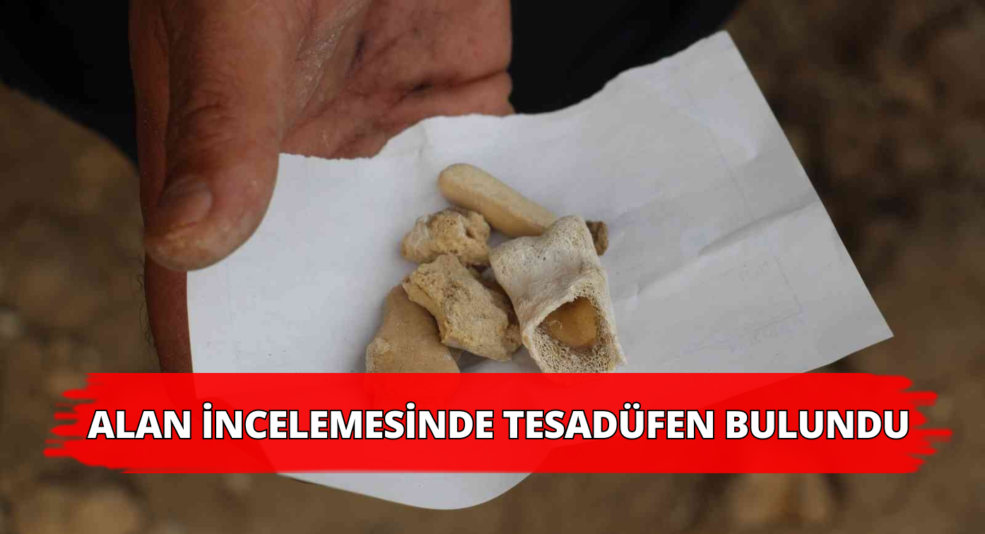 Alan İncelemesinde Milyonlarca Yıllık Kemik Bulundu