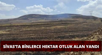 Sivas’taki Yangınlarda Otluk Alanlar Zarar Gördü