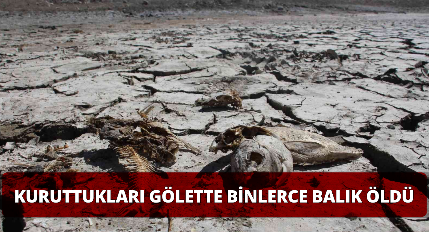 Köylüler Uyarıları Dinlemedi Göletin Suyu Kurudu