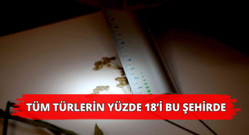 Sivas Çok Sayıda Bitki Türüne Ev Sahipliği Yapıyor