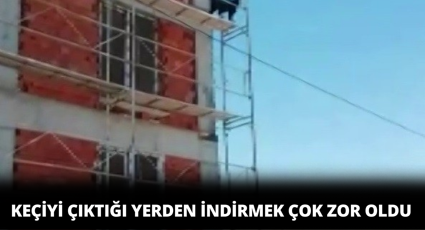 İnatçı Keçi Çıktığı Yerden İnemedi