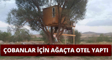 Çobanlar İçin Yapılan Ağaç Otel Dikkat Çekiyor!