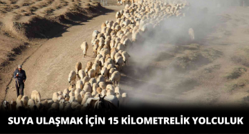 Suya Ulaşmak İçin 15 Kilometrelik Yol Gidiyorlar