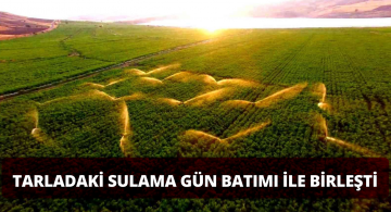 Şarkışla’daki Gün Batımı Manzarası Görenleri Büyülüyor!