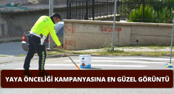 Sivas’ta Yaya Geçidi Önceliğinde Güzel Görüntüler