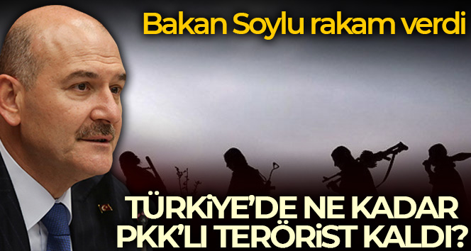 Bakan Soylu: ‘120’nin altında terörist kaldı, 29 Ekim 2023’te tek bir terörist kalmayacak’