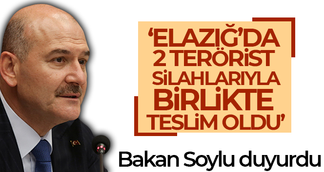 Elazığ’da 2 terörist silahlarıyla birlikte teslim oldu