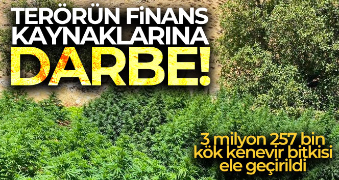 EREN ABLUKA-9 operasyonlarında 3 milyon 257 bin kök kenevir bitkisi ele geçirildi