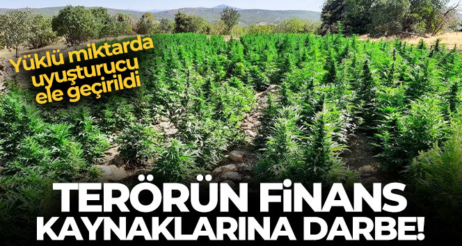 Eren Abluka’da 62 ayrı noktaya operasyon: Yüklü miktarda uyuşturucu ele geçirildi