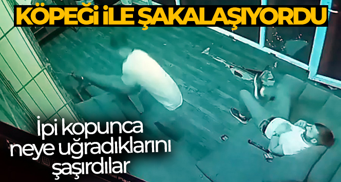 Esenyurt’ta köpeği ile şakalaşırken nereye kaçacağını şaşırdı
