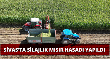 Sivas’ta silajlık mısır hasadı gerçekleşti