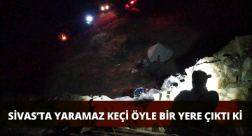 Yaramaz Keçi Tüm Ekipleri Alarma Geçirdi