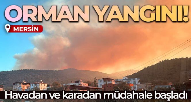 Mersin’de orman yangını: Havadan ve karadan müdahale için ekipler harekete geçti