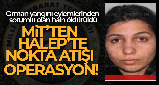 Orman yangını eylemlerinden sorumlu olan PKK’lı etkisiz hale getirildi