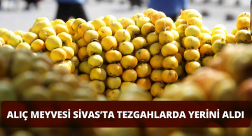 Alıç Meyvesi Sivas’ta Tezgahlardaki Yerini Aldı!