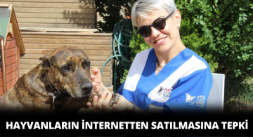 Hayvanseverlerden İnternetten Canlı Hayvan Satışına Tepki