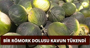 Gemereklilerden Kavuna Yoğun İlgi!