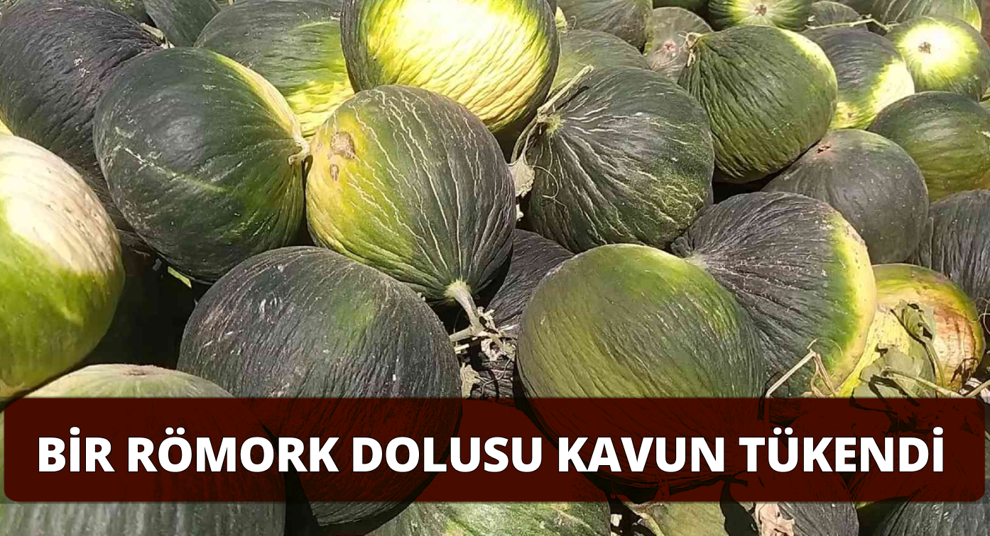 Gemereklilerden Kavuna Yoğun İlgi!