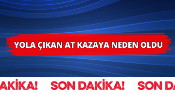 Yola Çıkan At Trafiği Birbirine Kattı