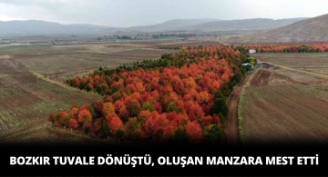 Bu ManzaraIarı Görenler Hayran Kaldı