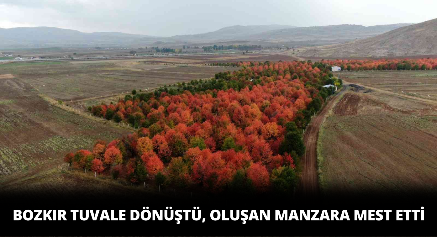 Bu ManzaraIarı Görenler Hayran Kaldı
