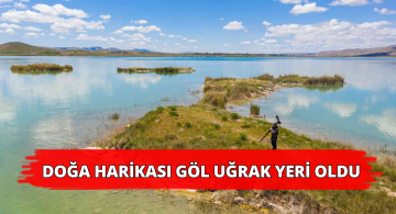 Sivas’taki Tödürge Gölü Fotoğraf Sanatçılarının Mekanı Oldu