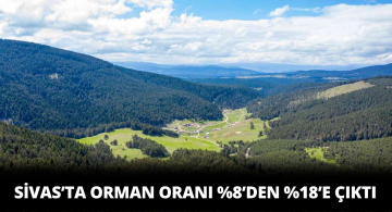 Sivas’taki Ormanlık Alanı Oranında Büyük Artış!