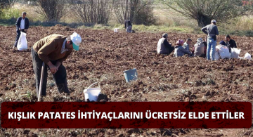 Hasat Sonrası Vatandaşlar Tarlalara Akın Etti