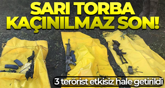 Şırnak’ta 3 terörist etkisiz hale getirildi