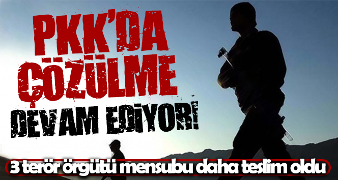 Terör örgütü PKK’da çözülme devam ediyor: 3 PKK’lı daha teslim oldu