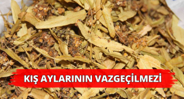 Yanlış Kullanıldığında Zarar Veriyor