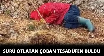3 Gün Önce Kaybolan Kişiyi Çoban Buldu
