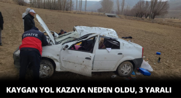Yağmurda Kayganlaşan Yolda Kaza 3 Yaralı